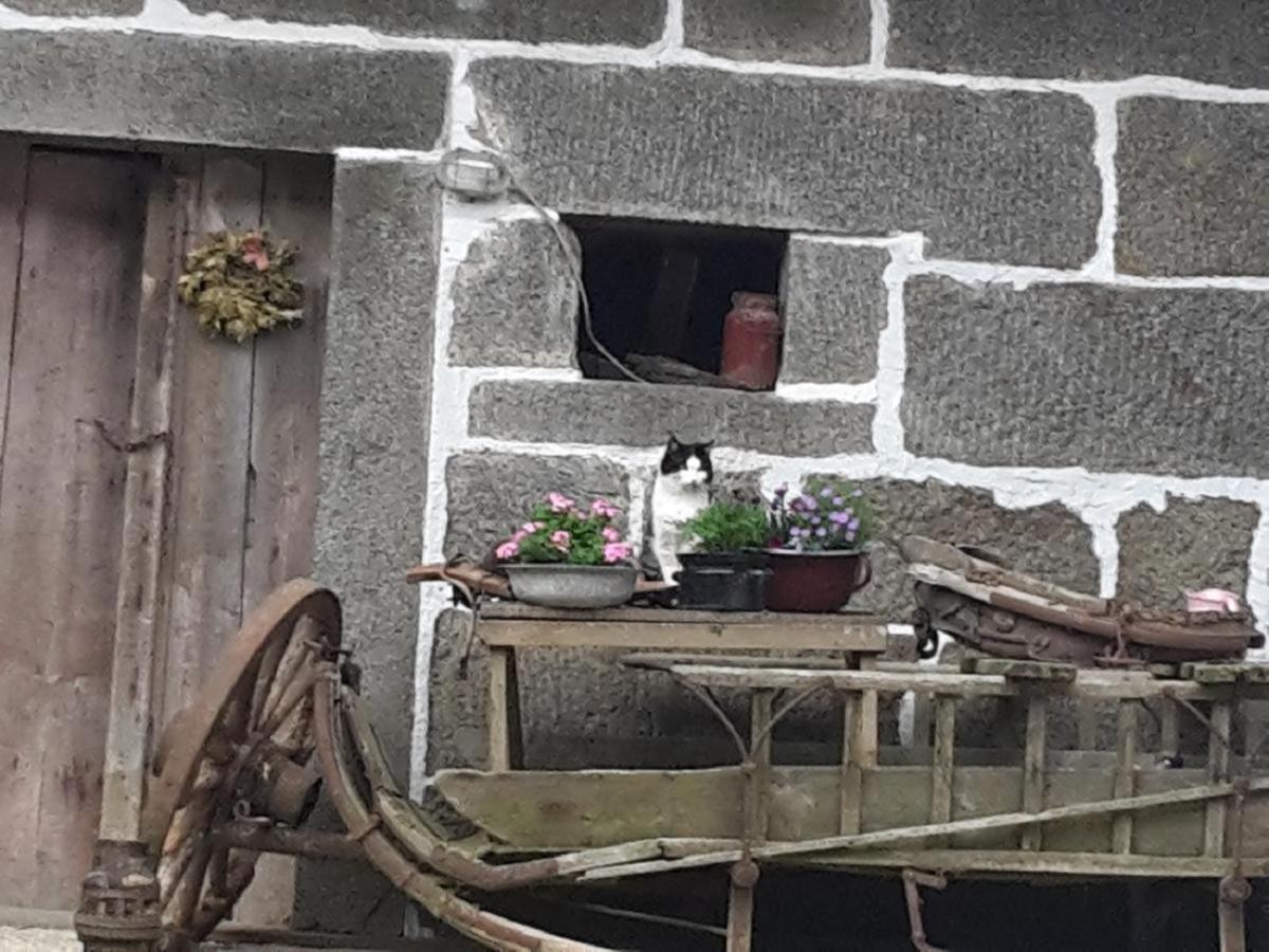 Landurlaub Bei Familie Haug Freyung Exterior foto