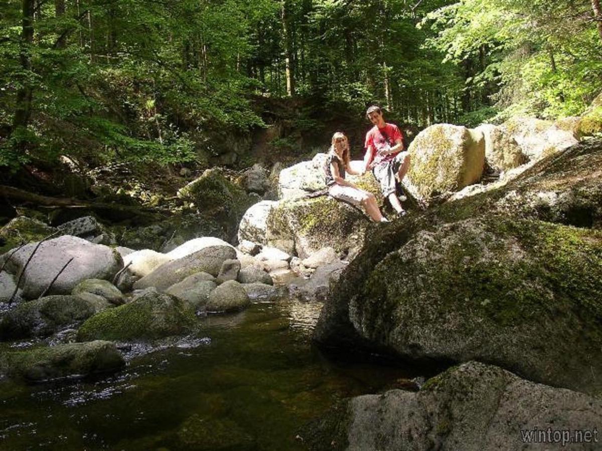Landurlaub Bei Familie Haug Freyung Exterior foto